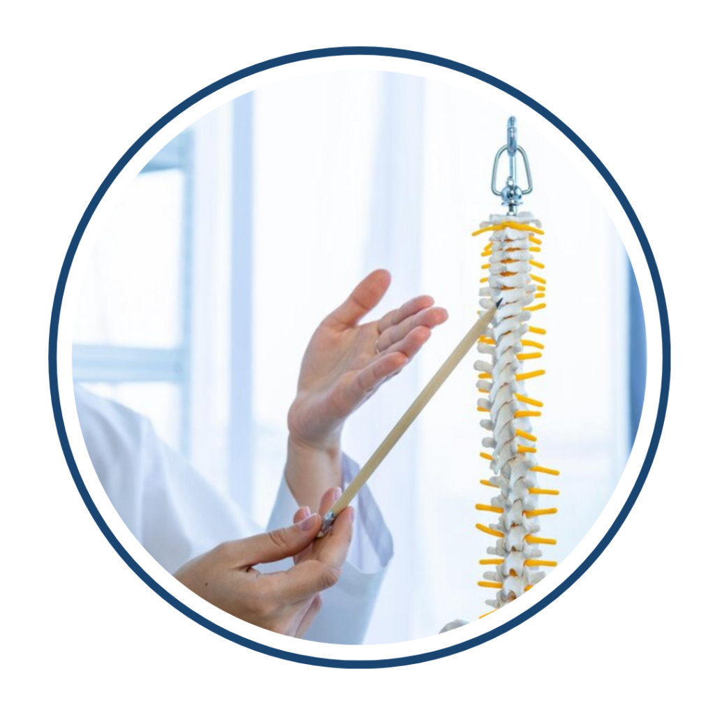 Minimally Invasive Spine Surgery